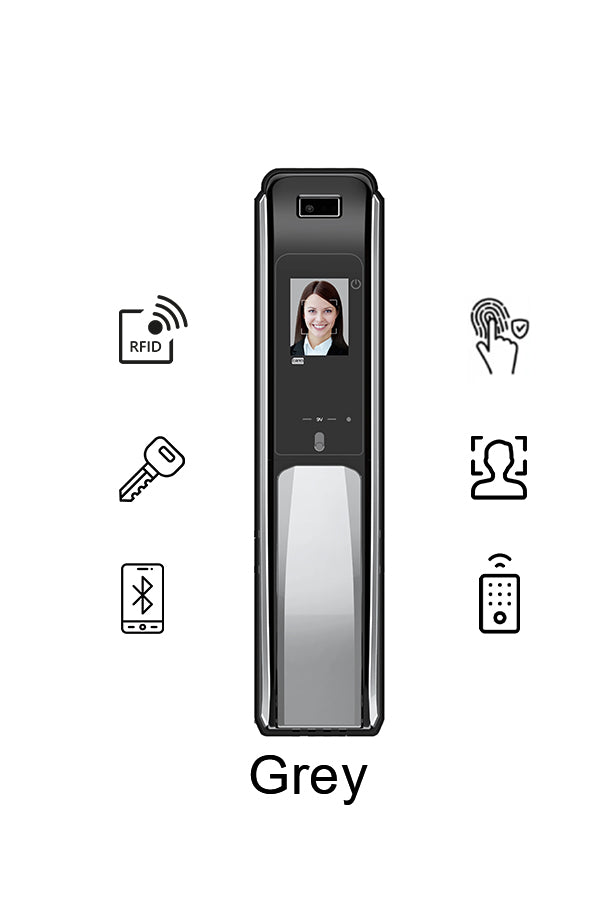 Face Recognition Push-Pull Lock  (HDL-FRX100)