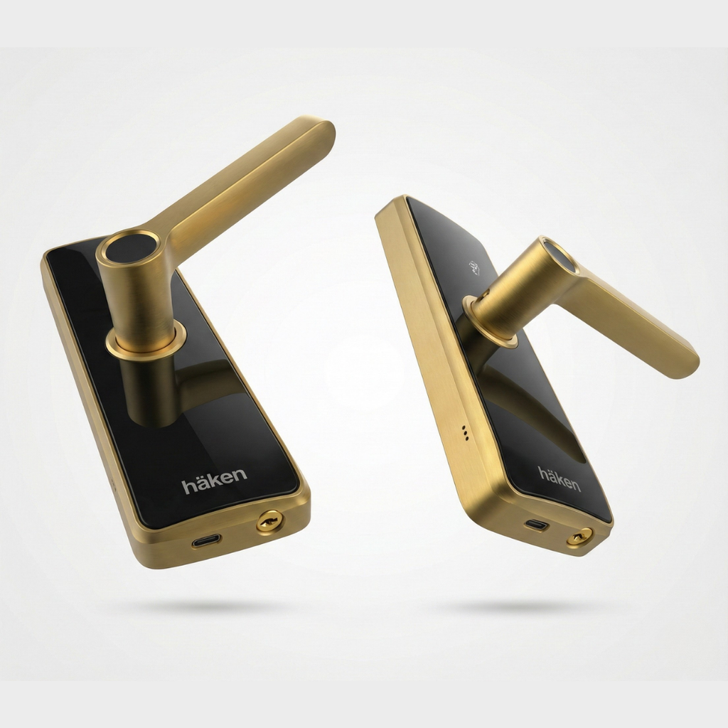 Mortise Lock (HDLE-REVVO) - MATT GOLD