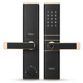 HDLE-ARYA Smart Mortise Door Lock (Gold)| 5-Way Access | Fingerprint, RFID Card, Touch Pad, Mechanical Key & WiFi App