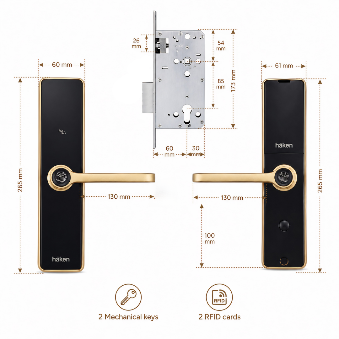 Mortise Lock (HDLE-REVVO) - MATT GOLD