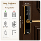 Mortise Lock (HDLE-REVVO) - MATT GOLD