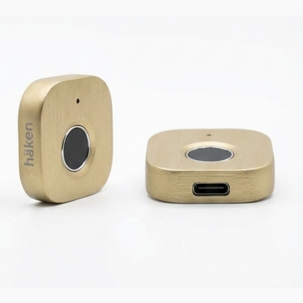 Digital Furniture Smart Locks (Clove) Gold