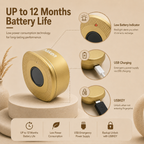 Digital Furniture Smart Lock (CLIP) - Gold