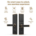 HDLE-ARYA Smart Mortise Door Lock (Gold)| 5-Way Access | Fingerprint, RFID Card, Touch Pad, Mechanical Key & WiFi App