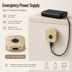 Digital Furniture Smart Locks (Clove) Gold