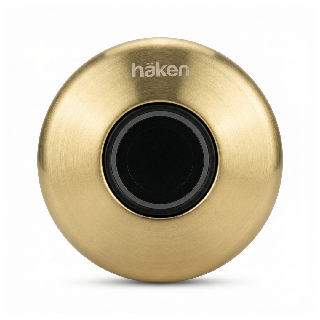 Digital Furniture Smart Lock (Moon) - GOLD