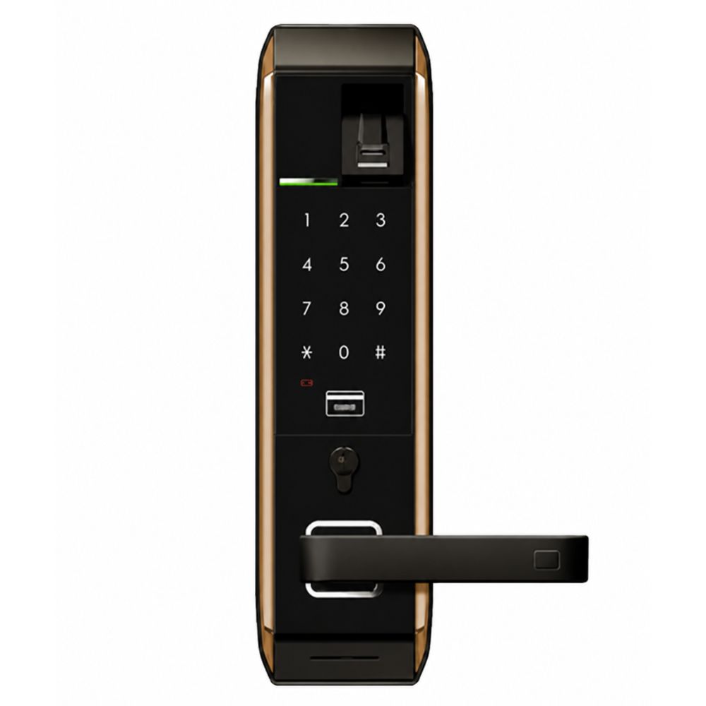 Mortise Lock 4 Way (HDL-M41) - CHAMPEGNE GOLD